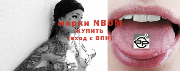 хмурый Слюдянка