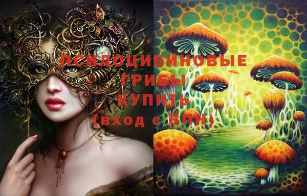 хмурый Семилуки