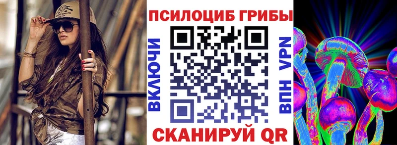 Купить  Петров Вал  Псилоцибиновые грибы GOLDEN TEACHER 