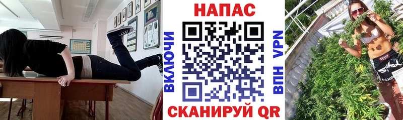Конопля гибрид  Купить где  Петров Вал 